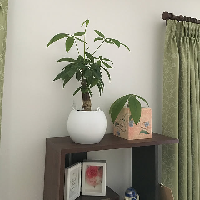 satoさんの実例写真