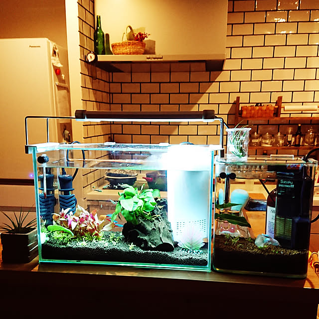 saaさんの実例写真