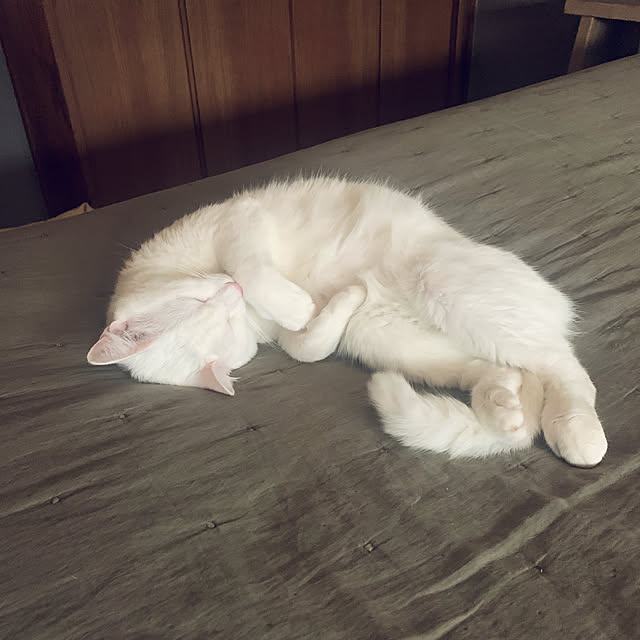 keiさんの実例写真