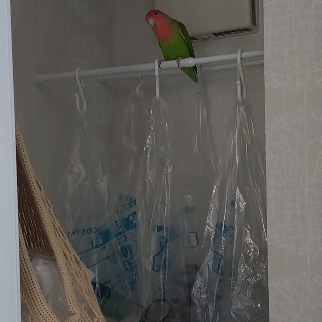 toratanさんの実例写真