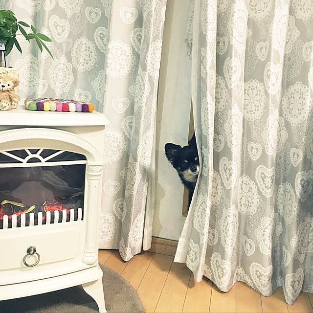 cocoさんの実例写真