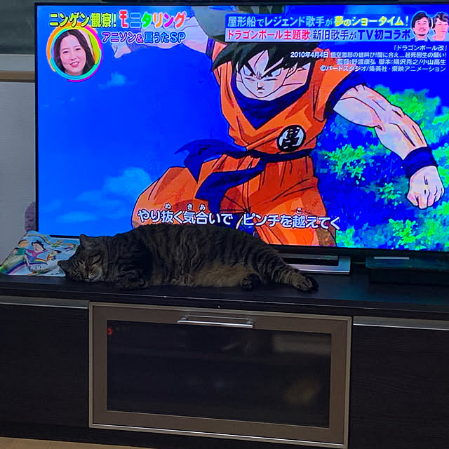 mohimikanさんの実例写真