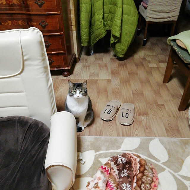 Tomopさんの実例写真