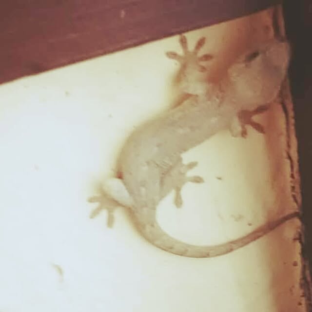 hitoaoさんの実例写真