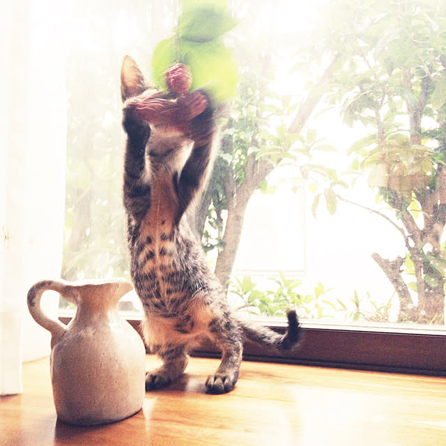 weさんの実例写真
