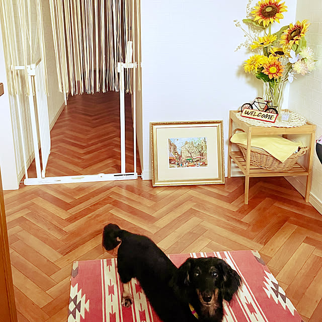 Maiさんの部屋