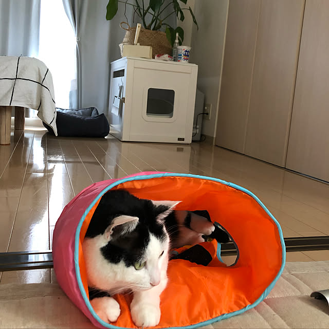 k.Iさんの実例写真