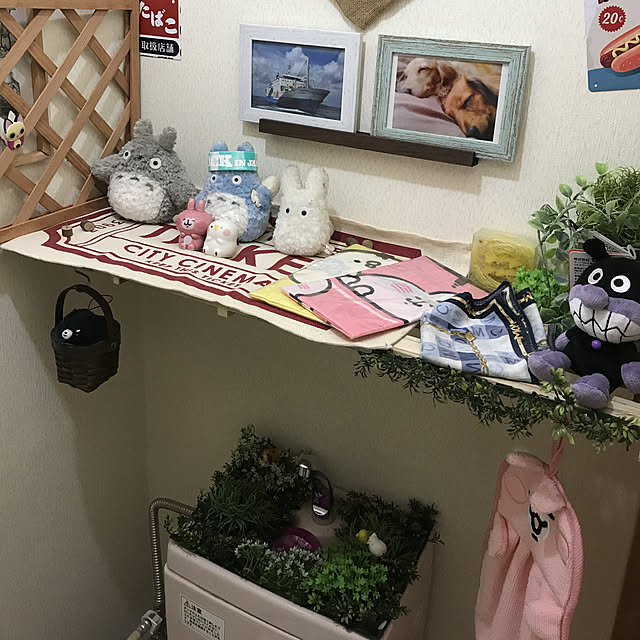実例写真