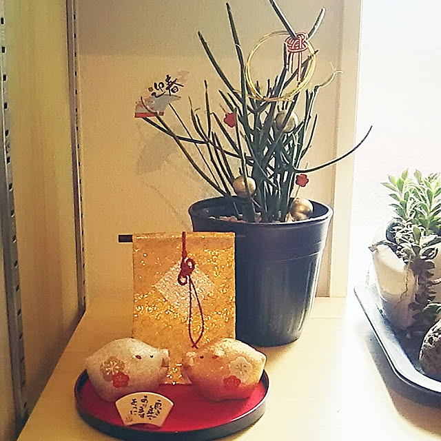 chocococoaさんの実例写真