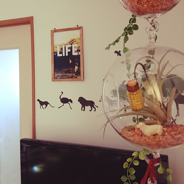 rinsさんの実例写真