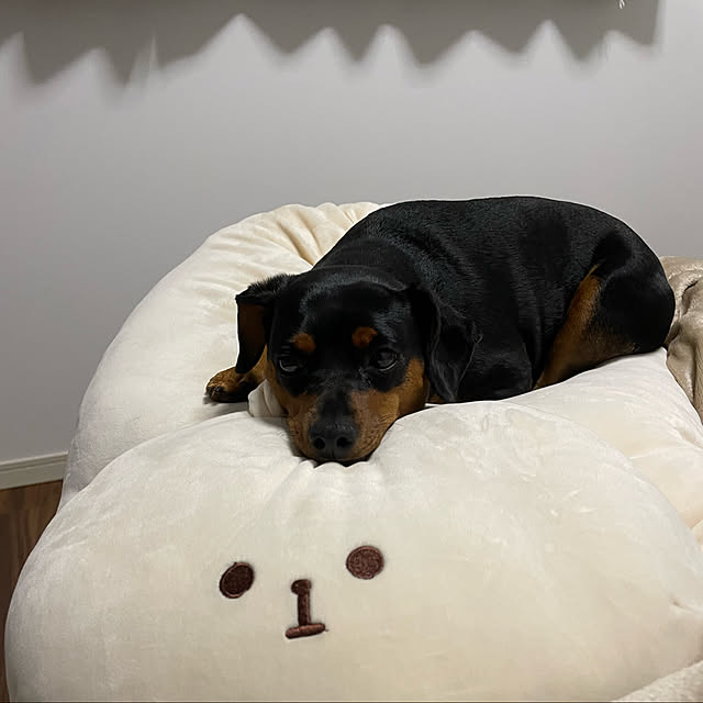 nanaumeさんの実例写真
