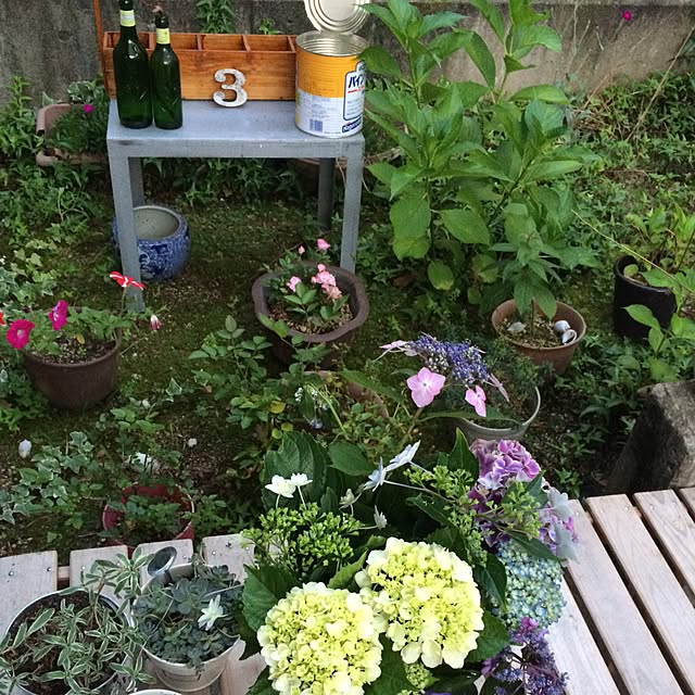 玄関/入り口/DIY/観葉植物/ガーデニングのインテリア実例 - 2016-07-10 19:12:00