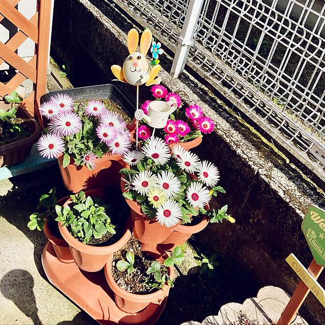 CoCo0617さんの実例写真