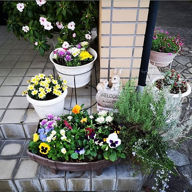 ku-garnet18さんの実例写真