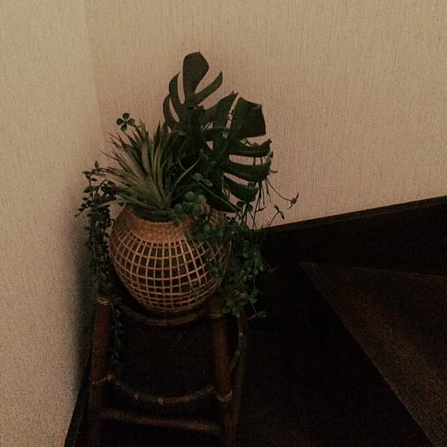 MICさんの実例写真