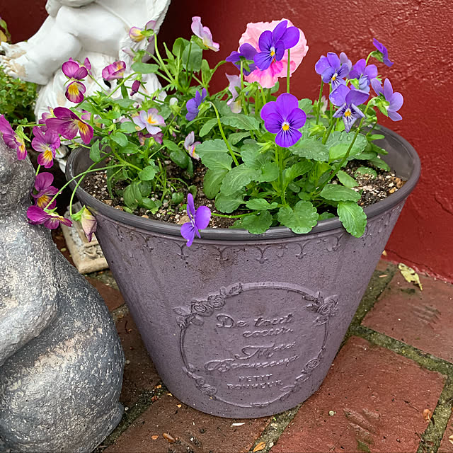 AYUKOさんの実例写真