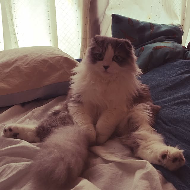 amo69xxさんの実例写真