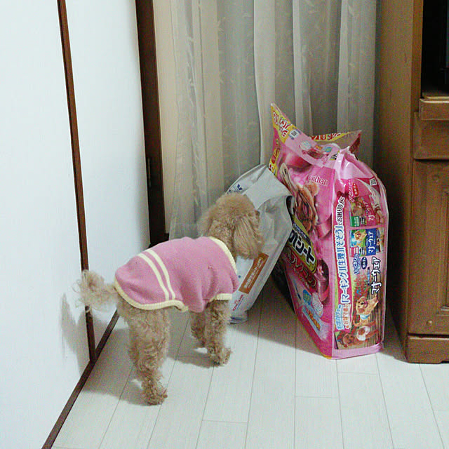 VIORAさんの実例写真