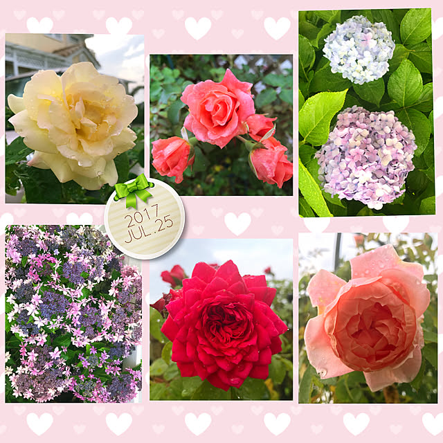 HappyRoseさんの実例写真