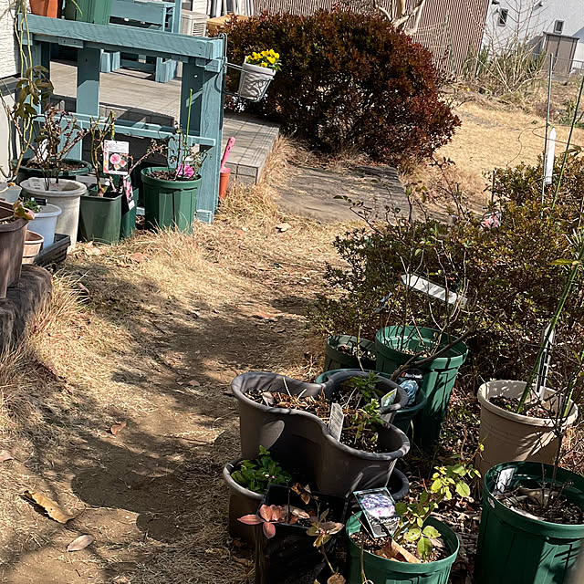 natsumiさんの部屋