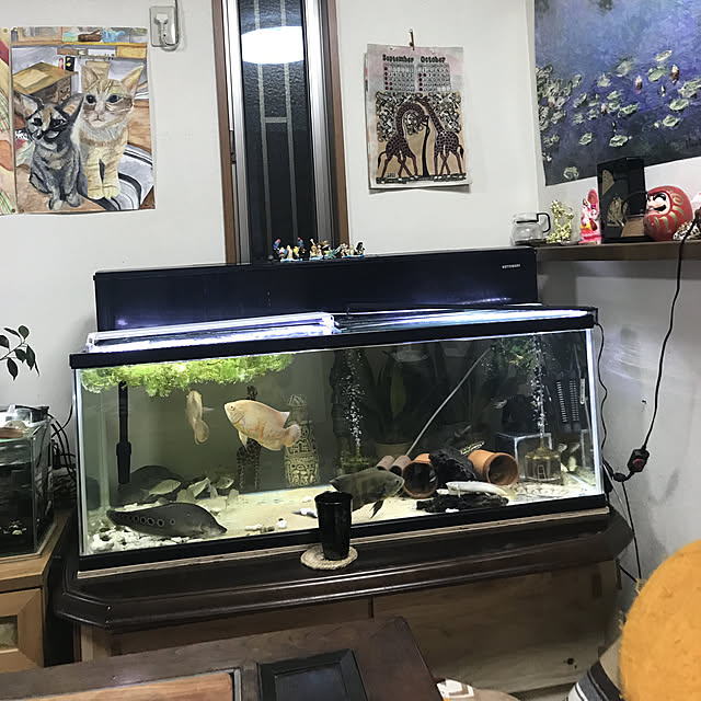 tornadeさんの実例写真