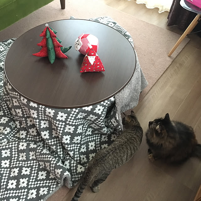 mikomaruさんの実例写真