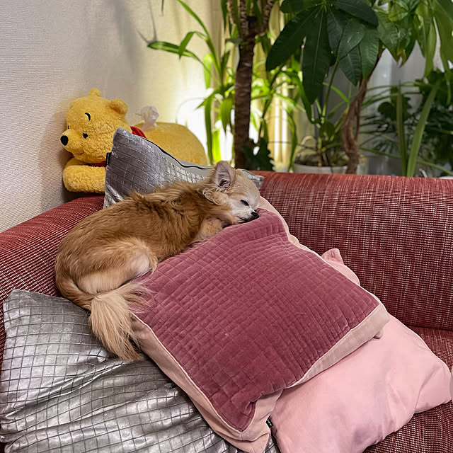 Emafuさんの実例写真