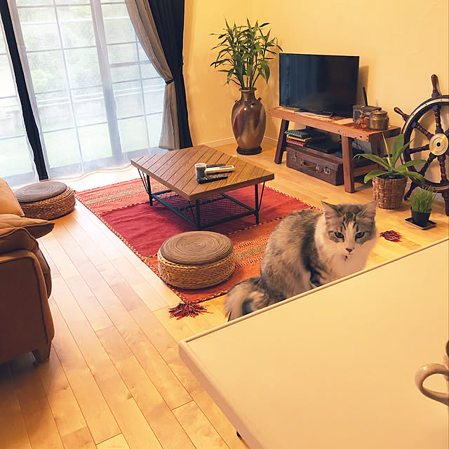 syungikuさんの実例写真