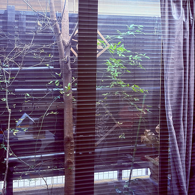 chacoさんの部屋