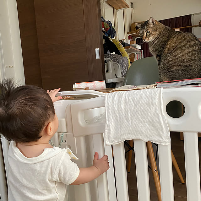 mikomaruさんの実例写真