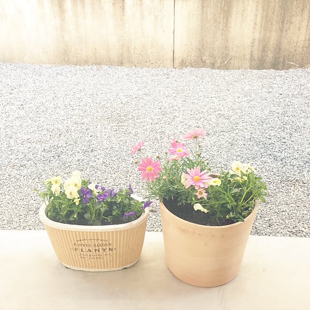 achuminさんの実例写真