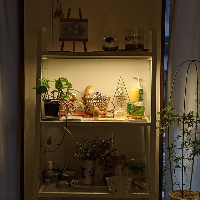 mi-saさんの部屋