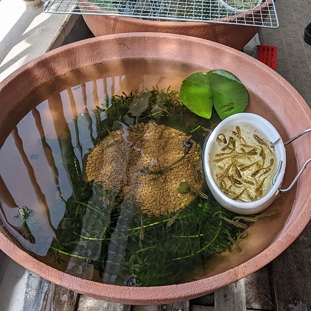 mi-saさんの部屋