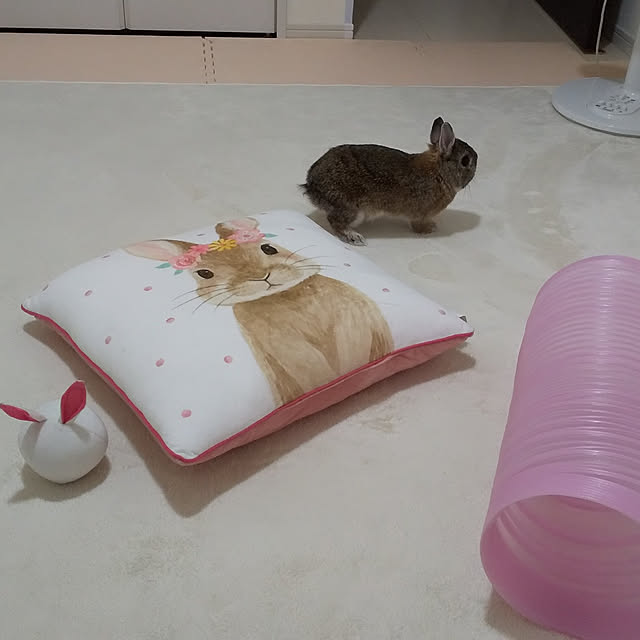 muumuuさんの実例写真