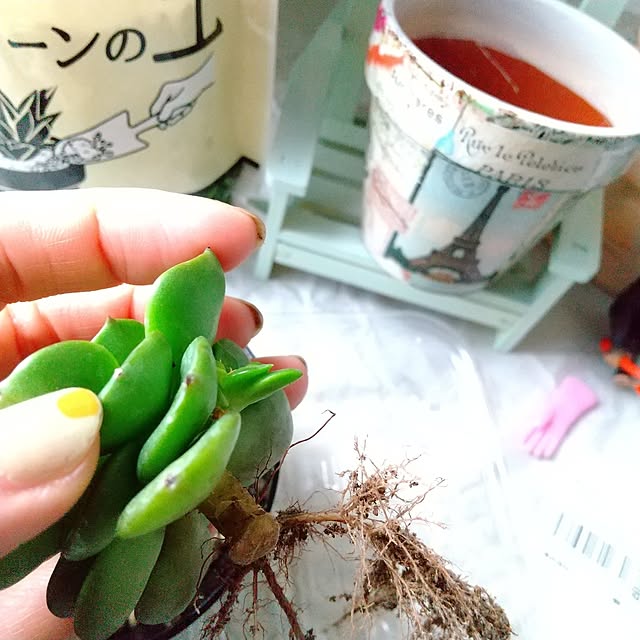 meiさんの部屋