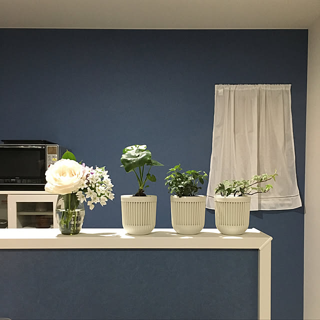 blue_earthさんの実例写真