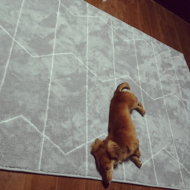 cocota1210さんの実例写真