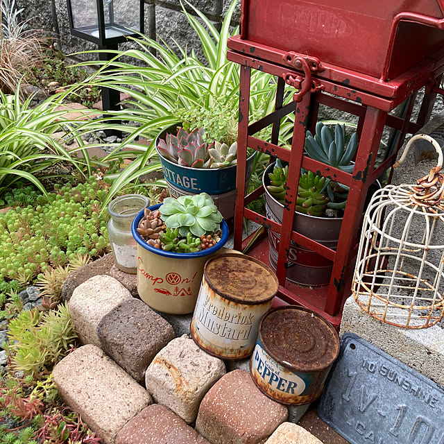 anko.hibuさんの部屋