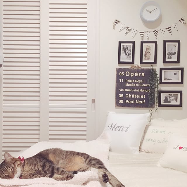 lovecatさんの実例写真
