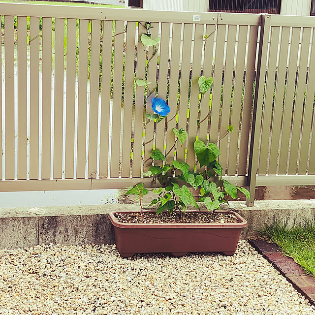 kanataroさんの実例写真