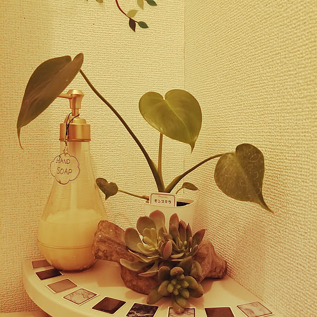 maimaiさんの実例写真