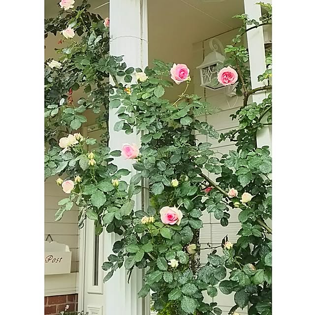 s.mamaさんの実例写真