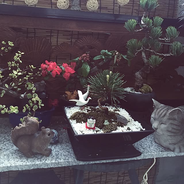 emmyyさんの実例写真