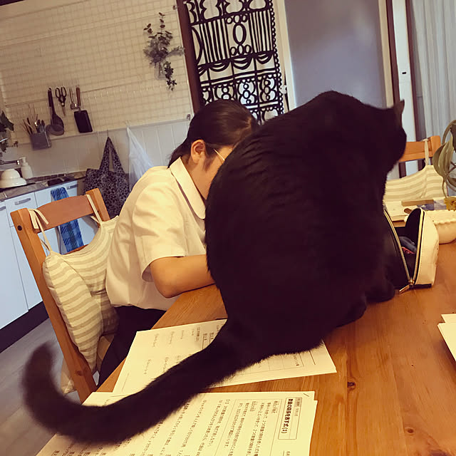 alcalinekoさんの実例写真