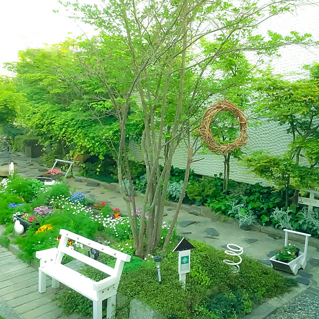 marrymisuzuさんの実例写真