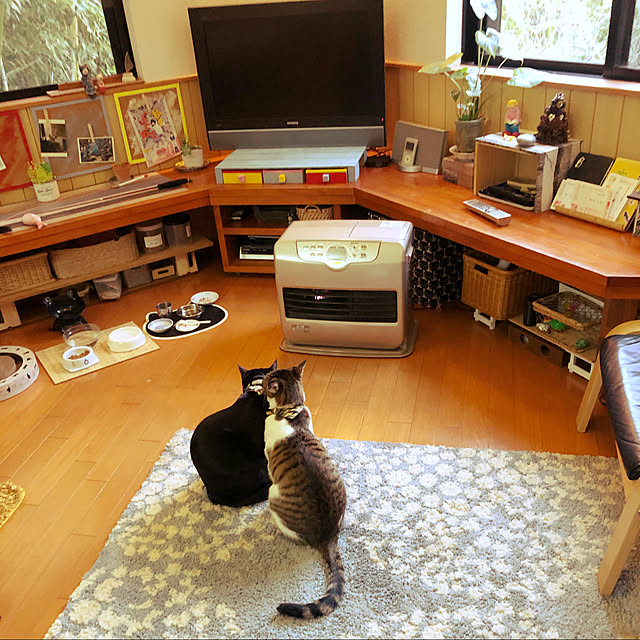 jijiさんの実例写真