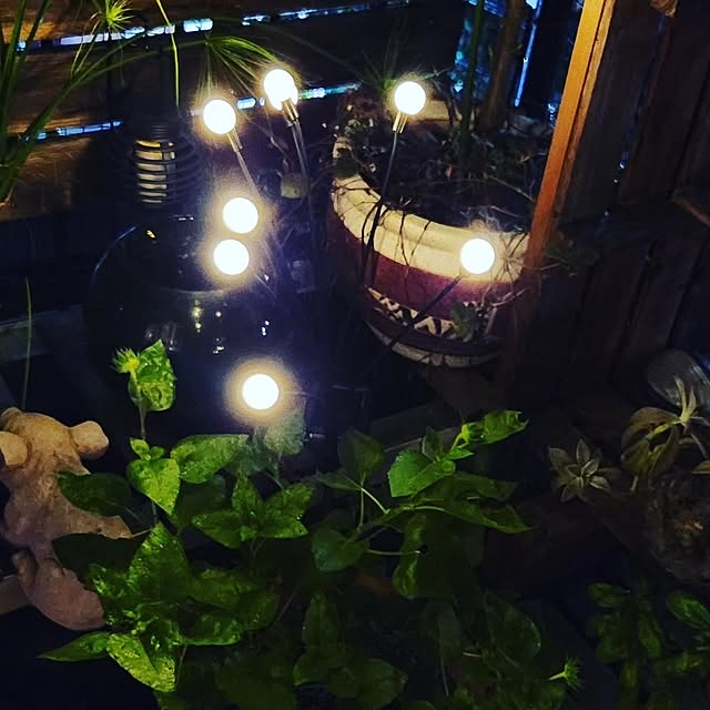 mikamaiさんの部屋