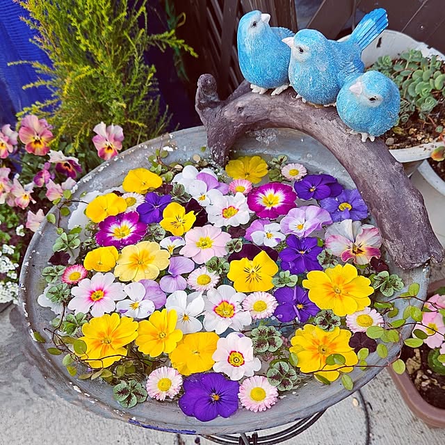 mocomocoさんの実例写真