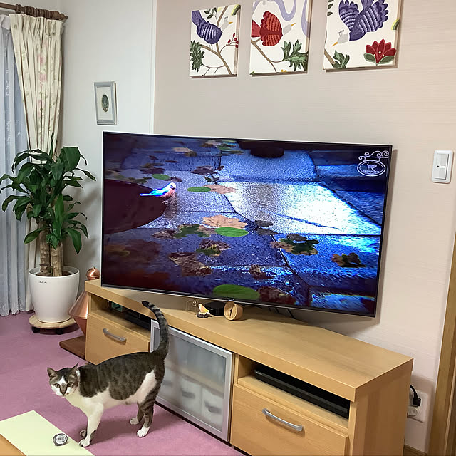 haruminさんの実例写真