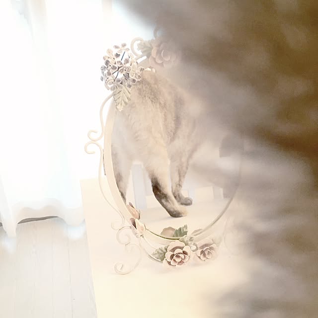 noelさんの実例写真